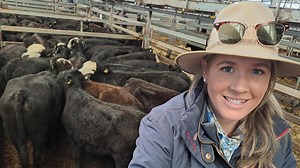 Wodonga agent tops AuctionsPlus cattle throughput