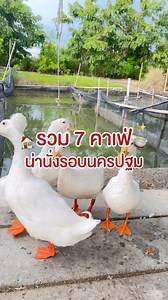 รวม 7 คาเฟ่น่าเที่ยวในนครปฐม ที่น้องแถวคัดมาแล้วว่าดีจริง #ร้านอร่อยนครปฐม #คาเฟ่นครปฐม #คาเฟ่ #นครปฐม | แถวนครปฐม