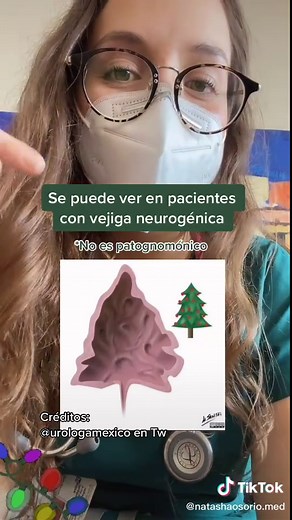Christmas Tree Bladder 🎄 #estudiantedemedicina #medicina #medtiktok #tiktokmed #aprendeentiktok #urologia