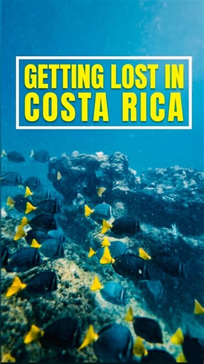 Getting Lost in Costa Rica | Underwater POV 🐠 #costarica #underwater #pov