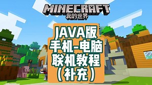 Minecraft Java版 手机-电脑联机教程(补充)