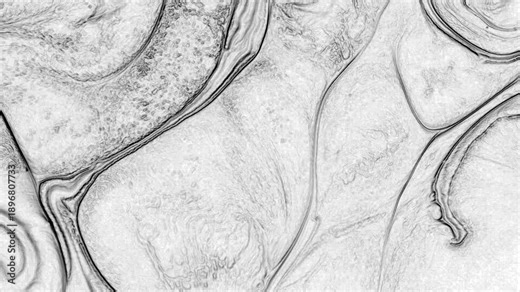 A monochrome paint texture highlighting depth and material detail through controlled contrast. The neutral grayscale surface allows seamless integration with text, graphics, and layered compositions.