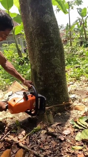 Chainsaw file #tools chenhangTools