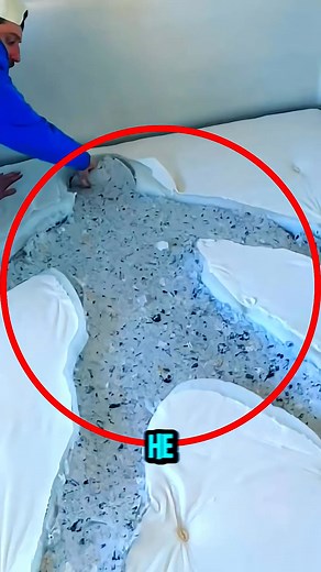 8.6K views · 53 reactions | The Craziest Bedroom Prank Ever #fblifestyle | FactifyX | Facebook