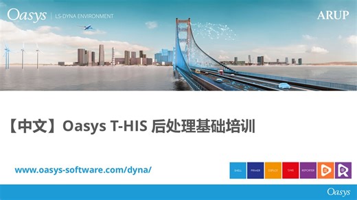 【中文】Oasys THIS 后处理基础培训