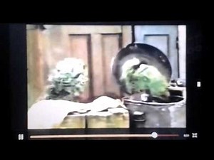 Oscar The Grouch montage 40Th