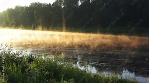 Beautiful summer landscape of early morning on the river