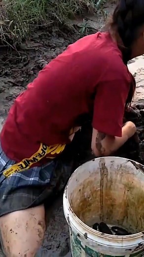 Amazing beautiful girl Fishing in the field in Cambodia#thaomaivlog #foryou #fyd #fishing