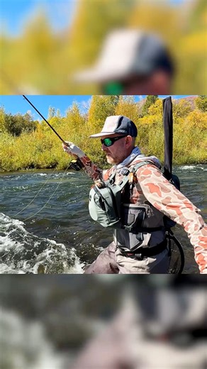 32K views · 354 reactions | Not the biggest catch, but still a blast on the line  #flyfishfood #flyfishing | Fly Fish Food | Facebook