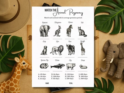 Animal Pregnancy Match Game | Animal Gestation Baby Shower Game | Match the Animal to Its Pregnancy | Printable Woodland Safari Game - Etsy