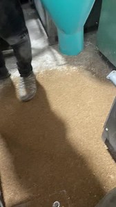 Kodho kutki cleaning machine.Factory 2 (Unit-2) -: #144, G.N.T. MARKET, DHAR ROAD, INDORE-452002 | Punjab Engineering Corporation | Facebook