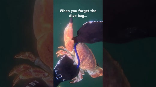 Gotta do what you gotta do #fishing