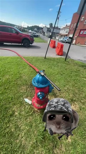 z Junior firefighters after tagging a hydrant #firefighter #voulenteerfirefighter #fypシ #fireengine #firefighting #fyp