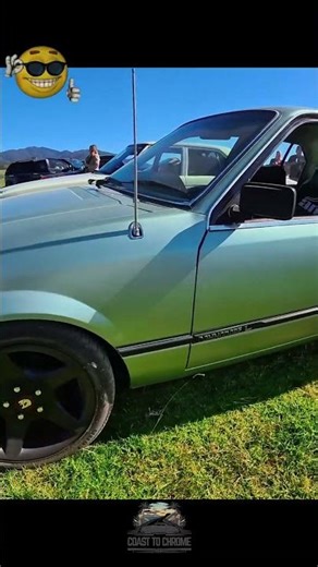 1981 VC COMMODORE L! 💚 The Honest Aussie Survivor at Tilba