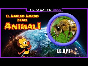The Magical World of Animals - Ep. 18 - Bees - Nerd Caffè Docu