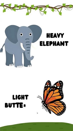 Animal comparisons based on physical traits and speeds