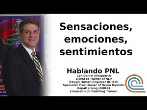 Descargar Nitro Pro 9 Gratis En Español 32 Bits - Buenas terapias para ti