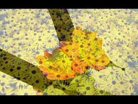 You Don't Bring Me Flowers