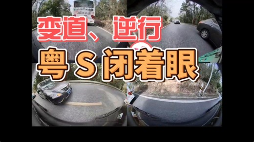 变道、逆行，粤 S 闭着眼~