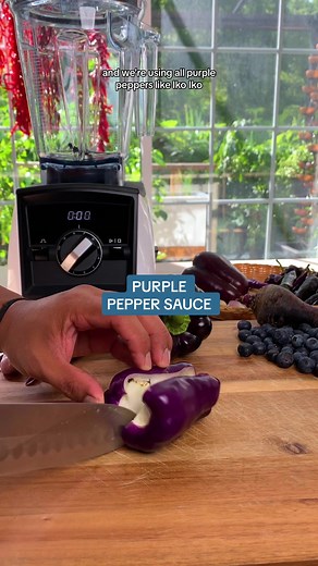 Peppers are super versatile and can be used in many ways. There’s also many varieties of peppers, big or small, sweet or hot, that offer different flavours. They’re best used to make hot sauce and you can be creative with the ingredients and how you prepare them. The combination of @Vitamix blender and food processor definitely made preserving our peppers quick and easy which saved us a lot of time. Share with us your favourite way to cook or preserve peppers! #vitamix #myvitamix #VitamixPartner