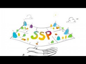 Small Chip - Big Future | SSP The Integrated Secure Element