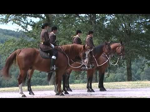La mort du cerf - Quentin LAROCHE