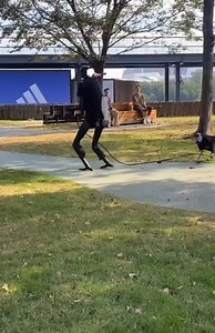 6.2K views · 81 reactions | A robot walks its robotic dog for walk at a park in China. 烙 #robotics #robot #technology | The MES Times | Facebook