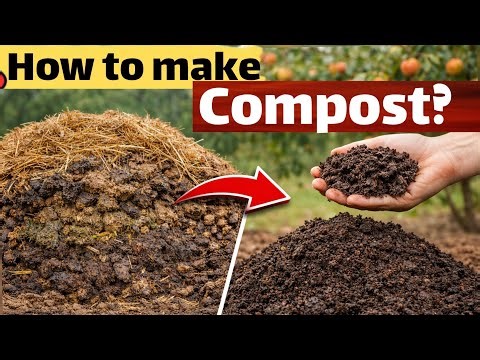 easy way to make Compost / full guidance 🙏