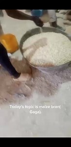 Today’s topic is maize bran. It is often treated like waste, but it is actually a valuable feed ingredient for livestock. Maize bran is the outer layer of maize grain. It is separated during the milling of roller meal. Instead of throwing it away, it can be used to feed animals and reduce feeding costs. Maize bran plays an important role in livestock diets: * It is affordable and easy to find * It is high in fibre, which helps ruminants like cattle, goats, and sheep * It works as a filler to str