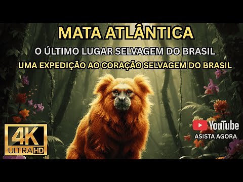 ATLANTIC FOREST BRAZIL | BRAZILIAN WILDLIFE SANCTUARY | 4K ULTRA HD | FULL DOCUMENTARY