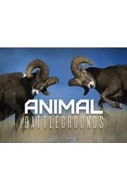 Watch Animal Battlegrounds Season 1 Episode 8 - Jungles