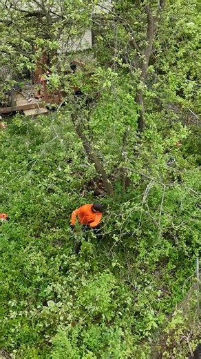 I TRANSFORMED this property in 4 Minutes and 28 Seconds | Free Lawn Care