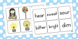 Senses Matching Cards and Board