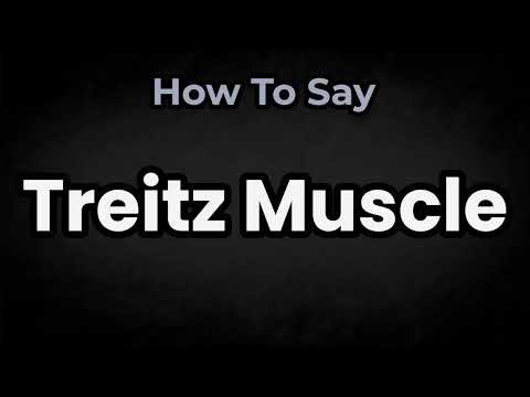 How To Pronounce Treitz Muscle? (CORRECTLY) Meaning & Pronunciation