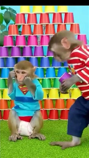 #monkey #monkeybaby #animalshome