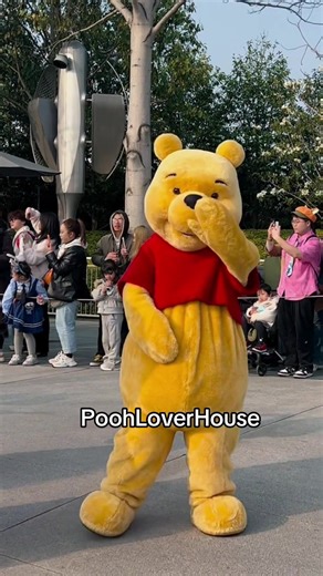 Winnie the Pooh Lover House | Disney Parks Merch