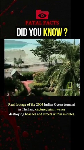 Real Footage Captured the 2004 Tsunami Horror