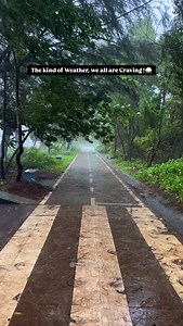 303 reactions · 32 shares | This Weather hits different!⛈️ . . Follow @beautyofgoa for more!!  www.beautyofgoa.com . . #goa #beautyofgoa #campalgoa #panjim #panjimgoa #goamonsoon #weather #rainy #monsoon #rains #goadiaries #goaindia | Beauty of Goa | Facebook