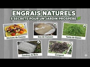 5 ENGRAIS NATURELS FACILES : Le Secret d'un Jardin Prospère (100% GRATUIT)