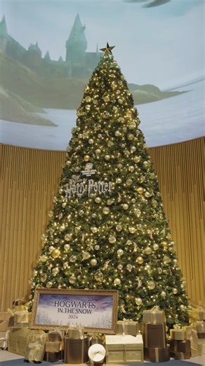 ワーナー ブラザース スタジオツアー東京 on Instagram: "❄️🎄 #スタジオツアー東京 に雪が降る 🎄❄️ 大好評だった #ホグワーツインザスノー が、今年も帰ってきます！✨ 去年の感動のひとときをちょっとお届け🎥 雪に包まれたホグワーツで、今年も特別なクリスマスをお楽しみください🎁🪄 ❄️🎄 Snowfall at #WBTourTokyo 🎄❄️ The hugely popular #HogwartsInTheSnow returns once more! ✨ Here's a glimpse at last year's magical moments 🎥 Enjoy another special Christmas at Hogwarts, wrapped in white winter snow 🎁🪄"