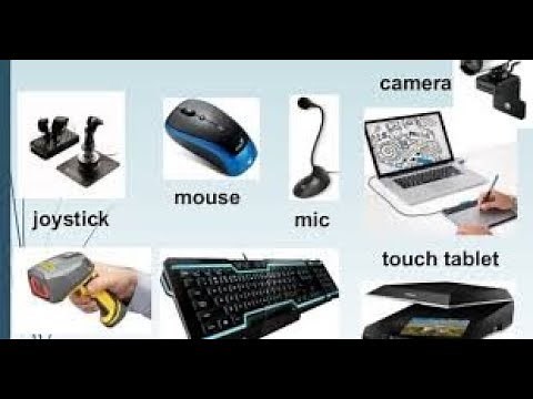 Input devices for computer