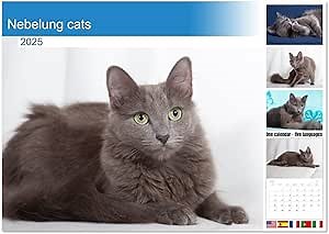 Nebelung cats (Monthly Wall Calendar 2026 11.7" x 16.5" (open)), CALVENDO 14 Month Calendar