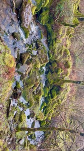 5.5K views · 93 reactions | Ireland's tallest waterfall, Sruth in...