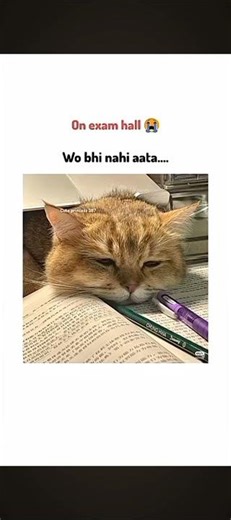 before ❌ after ✔️🤣😎😂📈#subscribemychannal #ytshorts #popular #viralshort #