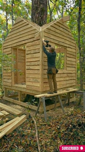 Building a Cabin AROUND a Tree!