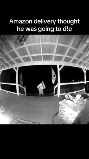 Friendly Beagle Dog Surprises Delivery Driver