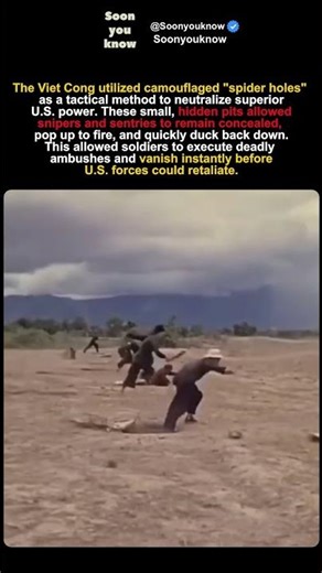 The "Spider Hole" Trap: Why U.S. Soldiers Fear the Jungle Floor!