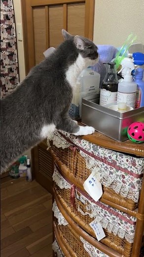 イタズラしちゃダメだよ