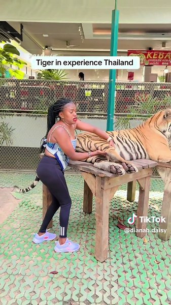 How close have you ever been to a wild animal??