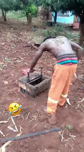 Beekeeping Basics: Understanding Hive Management Techniques